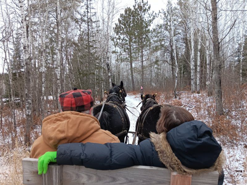 Sleigh ride from the back